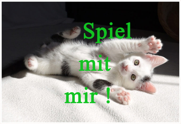 Spiele Mit K Spiele Mit K